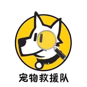 宠物救援队
